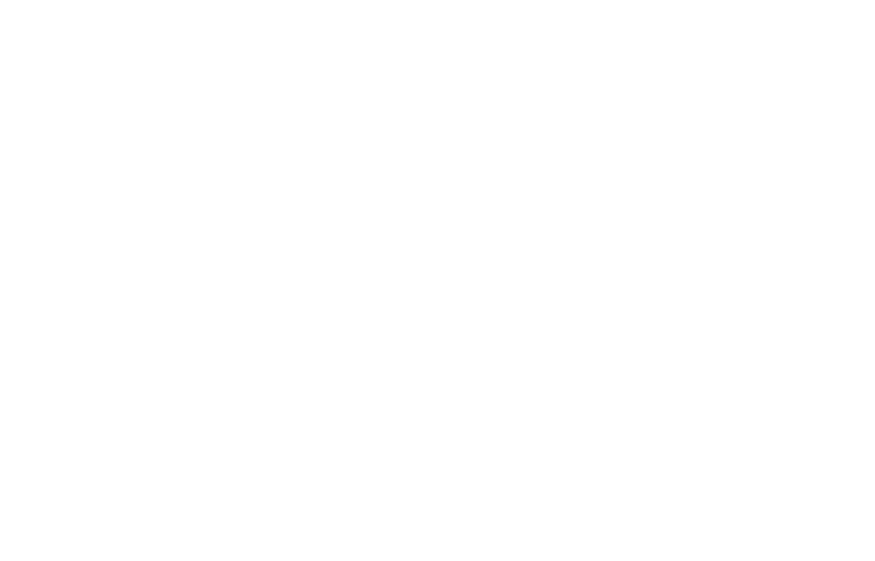 The Arc of Howard County